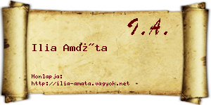 Ilia Amáta névjegykártya